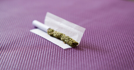 marijuana in rolling cigarette, mouthpiece, paper, purple background.