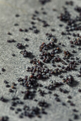Raw Organic Poppy Seeds
