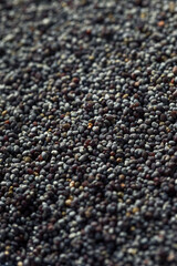 Raw Organic Poppy Seeds