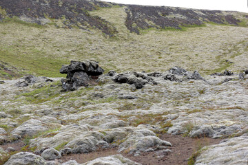 Mit verschiedenen Moosen überwachsenes Lavafeld Berserkjahraun bei Stykkisholmur