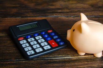 The piggy bank looks at the tax calculator. Real estate tax. Taxation on purchase or sale. Fees and duties. Annual taxes relief. Accounting and audit. Saving. Payment deferment.
