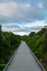 Amazing walk through boardwalk