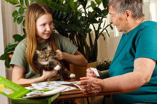 Senior Grandmother And Her Granddaughter With A Cat Are Playing Board Games Together At Home. Activities For Seniors, Elderly Active Lifestyle, Older People Time Spending Concept. Selective Focus