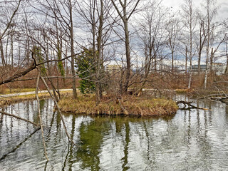 Wildlife Sanctuary Grindel in Wallisellen or Grindel Naturschutz Gebiet - Zürich (Zuerich or Zurich), Wallisellen, Switzerland (Schweiz)