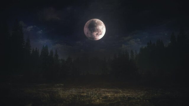 Moonlight Over Dark Woods Spooky Scene Under Full Moon. Spooky forest landscape at night under a full moon in deep space and a heavy mist. Mystery scene