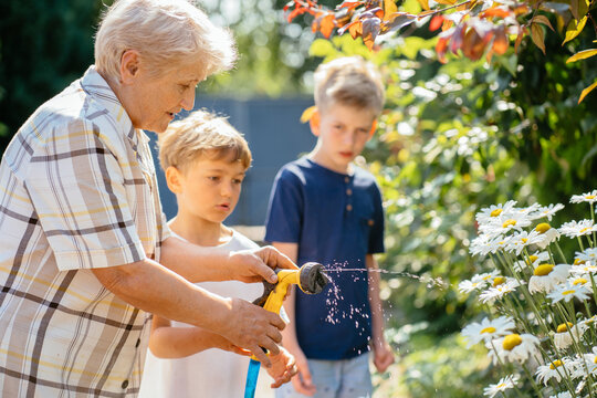 Grandmother shows her two grandchildren how to properly hold a hose and water the garden at country house in summer time.