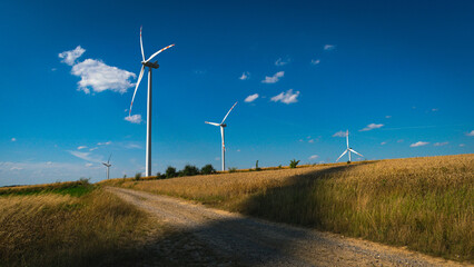 Farma wiatrowa © Krzysztof Rostkowski