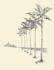 Tall palm trees alley on the beach, sea view hand drawing - 486104190