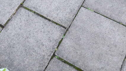 Grey textured paving with weeds growing in between the gaps - 486104960