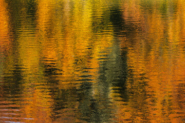 reflet de l'automne sur le lac