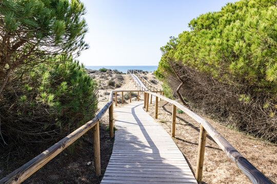 Wooden pathway over dunes and pines at beach in Punta Umbria, Huelva. Los Enebrales beach