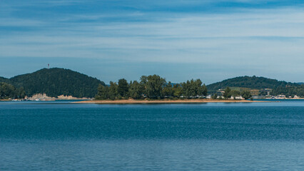 Dense forest of the Bieszczady Mountains