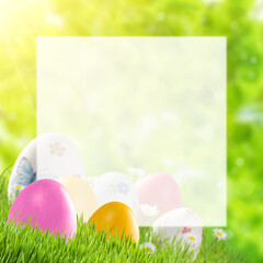 Easter card with eggs and place for text