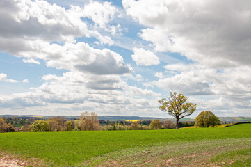 Fototapeta premium landscape with sky and clouds