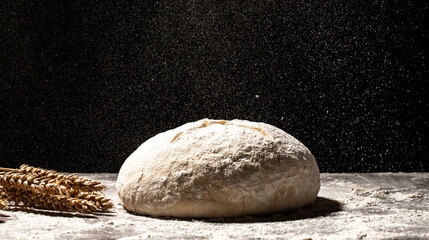 yeast dough for bread or pizza on a floured surface, with flour splash. Cooking bread. Kneading the...