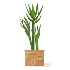 Potted plant for home and office. A houseplant, succulent, creating a microclimate. Ceramic flower pot with decor. Vector icon, cartoon, isolated