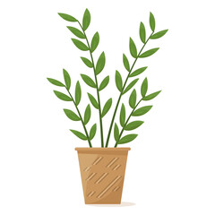 Potted plant for home and office. A houseplant, many small leaves. Ceramic flower pot with decor. Vector icon, cartoon, isolated