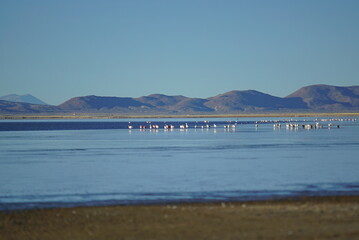 lake and mountains , Los Pozuelos