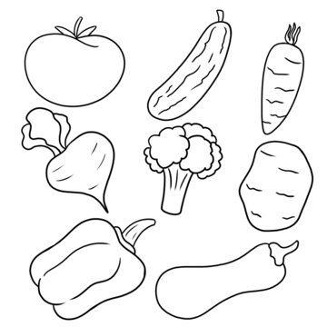 Fresh vegetables. Monochrome image of vegetables for coloring books and postcards, illustration