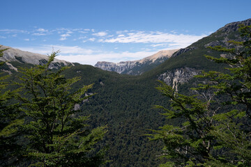 View of the green forest, valley and Andes cordillera.