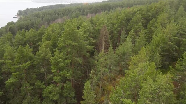 Karelia, Onega Lake, Petrozavodsk Bay. Aerial video showing the forest and the coast, near the botanical garden. The water surface of the lake and the autumn forest. Vacation in Russia concept.