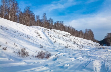 Winter landscape with birch trees on the mountain bank of the river, snow and blue sky with clouds