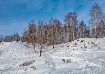 Winter landscape with birch trees on the mountain bank of the river, snow and blue sky with clouds
