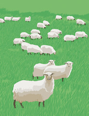 Sheep grazing on a green meadow