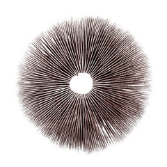 Psilocybin mushroom spore print on white background - obrazy, fototapety, plakaty