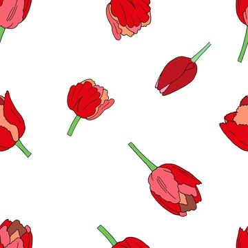 vector seamless patterns with tulips, flowers, background