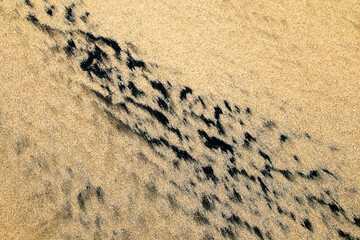 yellow, cream texture with black areas of sand texture