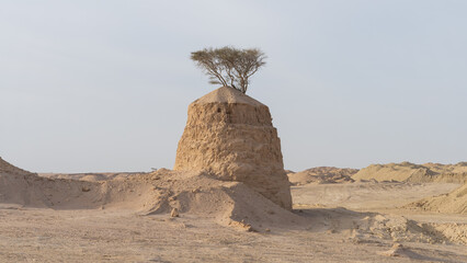 Lonely Tree on clay Rock in dukhan umm bab