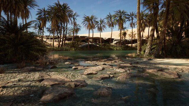 Idyllic oasis in the Sahara Desert