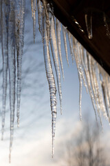 Icy, spring icicles on a wooden house through the setting sun. Selective focus.