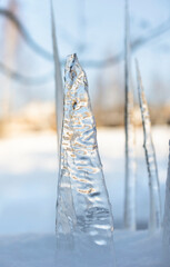 Ice icicles standing in a snowdrift. Selective focus.