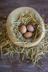 inverted straw hat with straw and eggs inside. Farm in Italy 