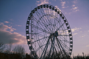 ferris wheel at night
