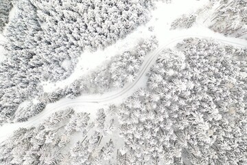Winterwald aus der Vogelperspektive