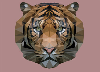 vector image of a tiger in the low-poly style, a symbol of the year according to the Chinese calendar