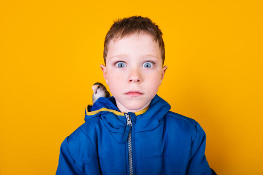 Astonished child with parrot looking at camera