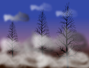 View of the early morning the clouds filling the sky and covering the tress with clouds on mountain