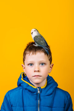 Astonished child with parrot looking at camera