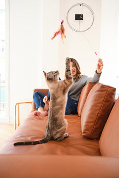 Woman with wand playing with cat on couch