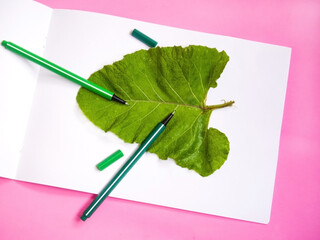 large green leaf drawn with green pens
