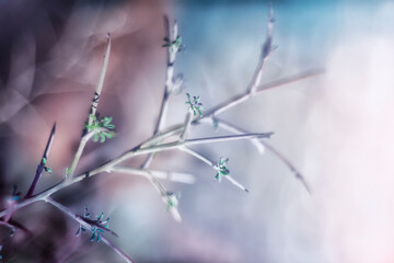 rama con hojas pequeñas en un fondo muy colorido en tonos rosas y azul