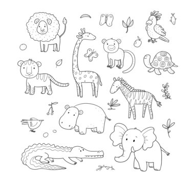 African animals. Cute cartoon lion and tiger, elephant and zebra, monkey and parrot. Fun zoo. Illustration for coloring book