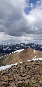 Lichen, Moss, Grass and Wild Flowers Growing and blooming on Snowy Colorado Mountain Trail in Sunlight
