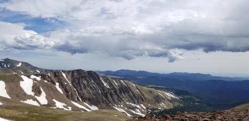 Lichen, Moss, Grass and Wild Flowers Growing and blooming on Snowy Colorado Mountain Trail in Sunlight