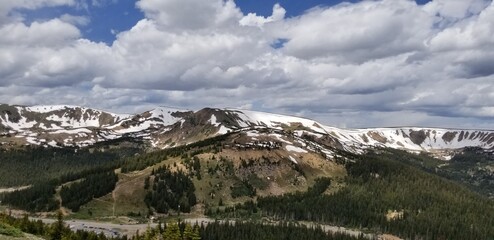 Fototapeta premium Lichen, Moss, Grass and Wild Flowers Growing and blooming on Snowy Colorado Mountain Trail in Sunlight