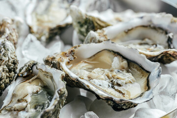 Oysters with wine, lemon, and ice. oysters dish. Oyster dinner with champagne in restaurant. banner, menu, recipe place for text, top view